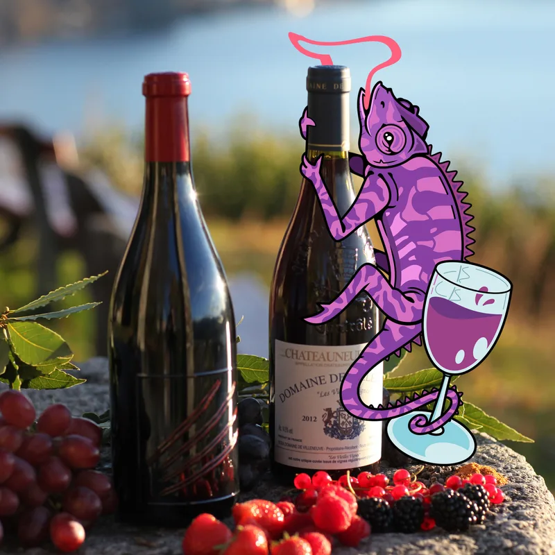 In Vino Sitis (newsletter) — image 9