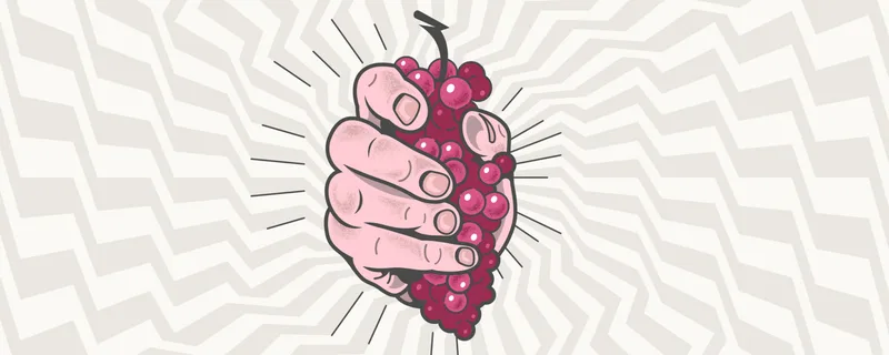 In Vino Sitis (e-commerce) — image 10