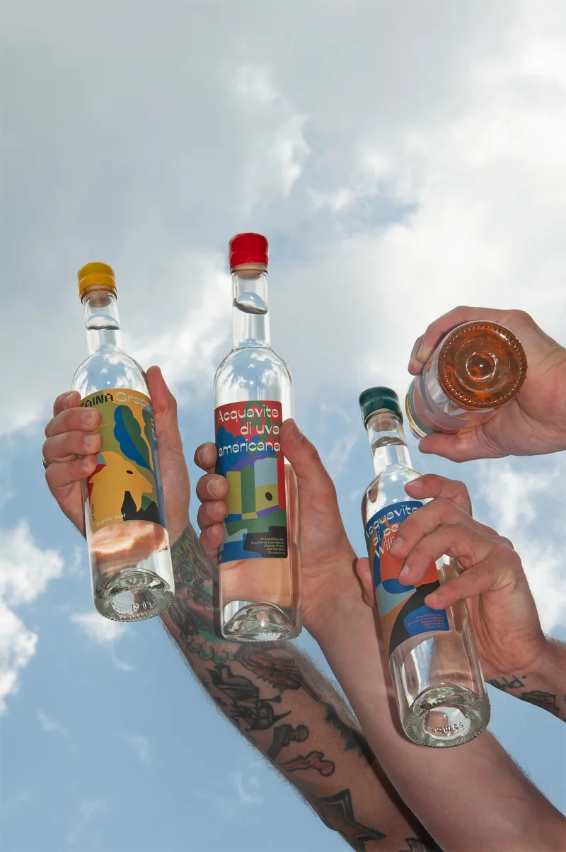 Distillati Caina — image 1