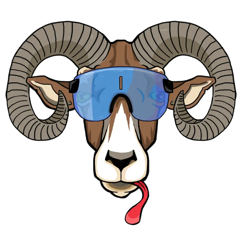 Alba Optics — image 3