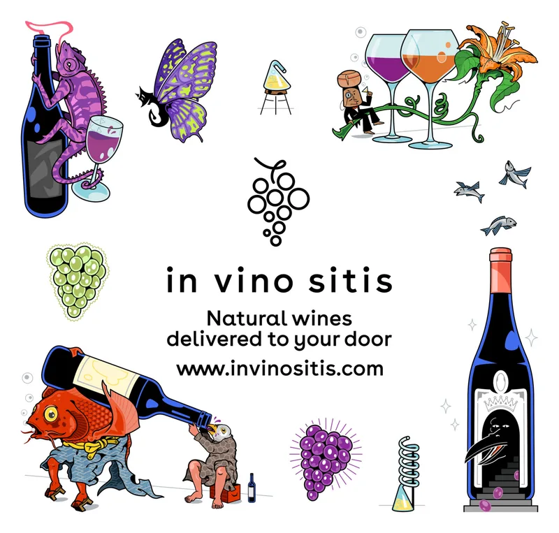 In Vino Sitis (adv) — image 2