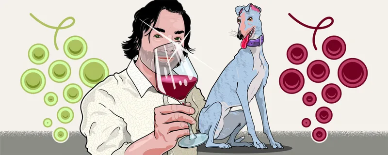 In Vino Sitis (e-commerce) — image 4